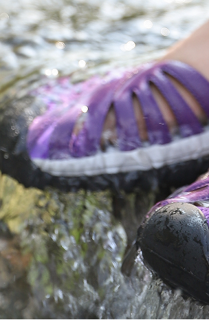 Season with Camel Crown